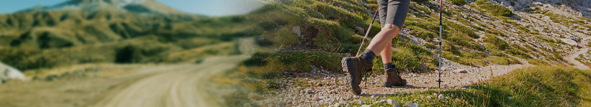 دانلود کنید